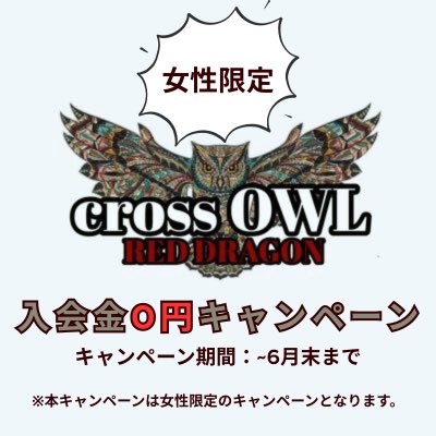 🚨緊急指令🚨